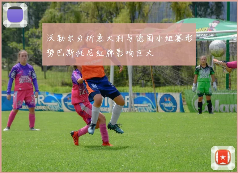 沃勒尔分析意大利与德国小组赛形势巴斯托尼红牌影响巨大